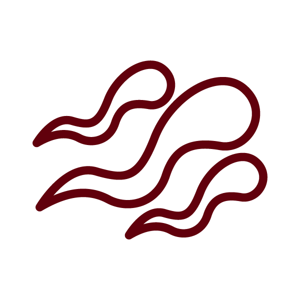 BOOST in Sperm Count